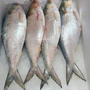 ৪ পিছে ৮ কেজি ৫০০০ টাকা
